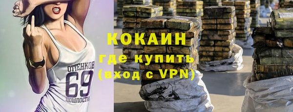 дживик Алексеевка