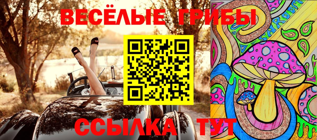 Псилоцибиновые грибы Psilocybine cubensis  Вход с VPN  Каменск-Уральский 