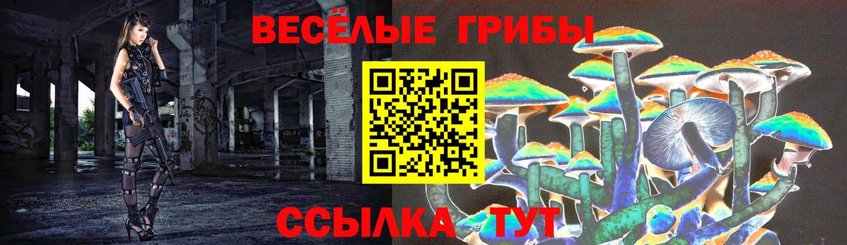 Псилоцибиновые грибы Psilocybe Каменск-Уральский